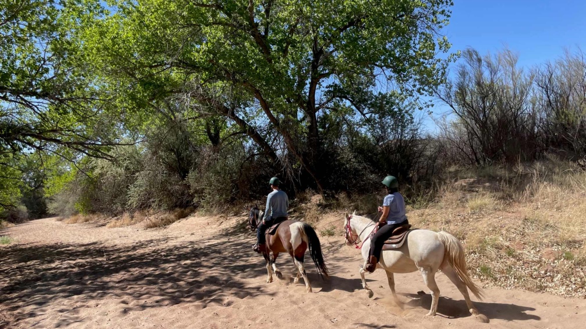 Short trail rides